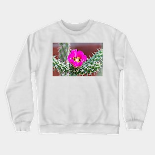 Pink Blooming Cholla Cactus Crewneck Sweatshirt